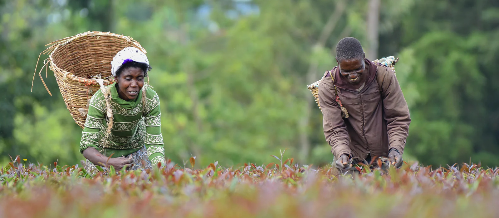 Our platform also features training resources and community stories